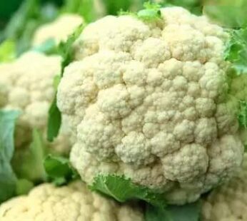 Organic Cauliflower (Phool Gobhi)  ₹95/kg