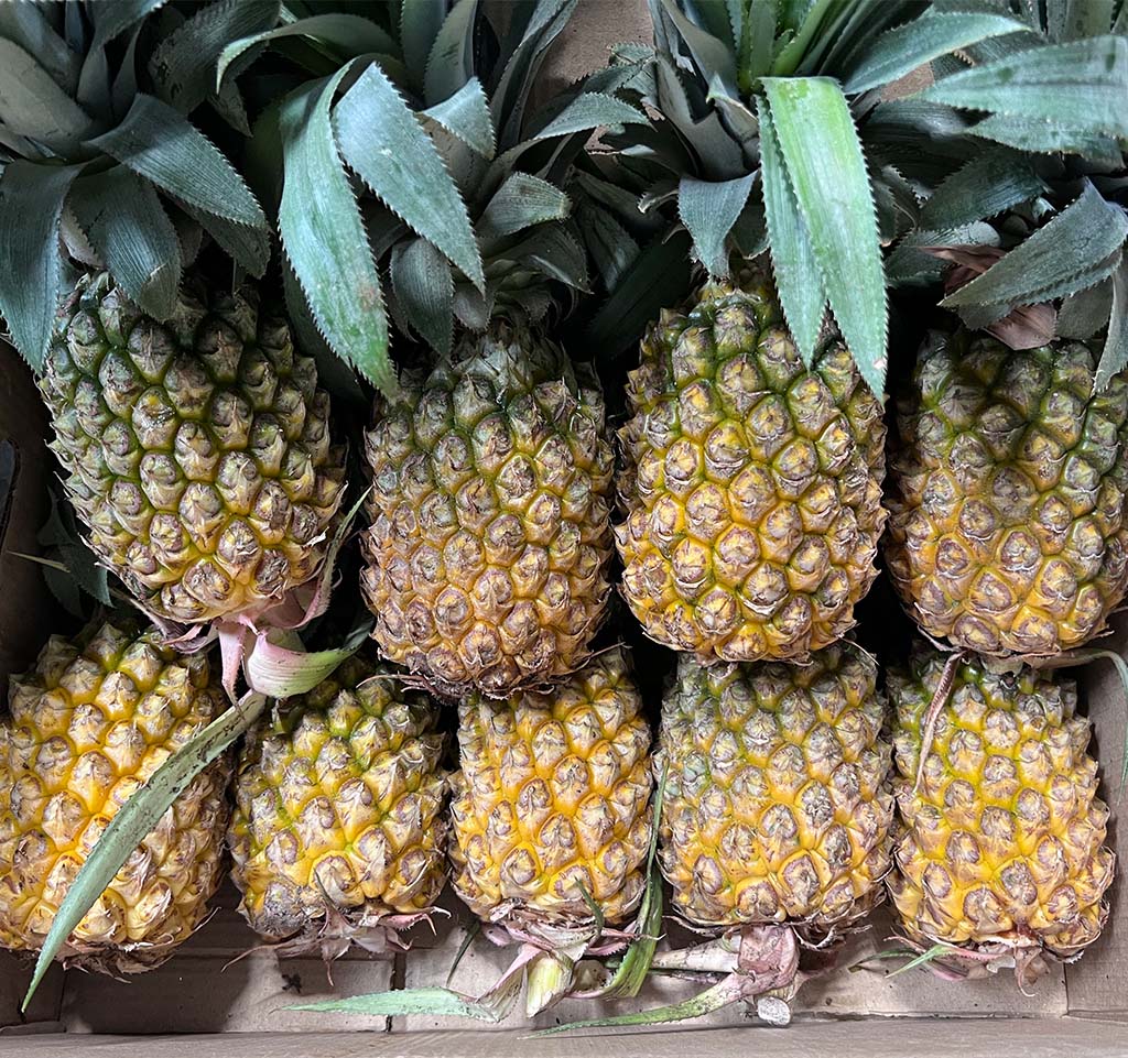 Simfed Retail Organic Store