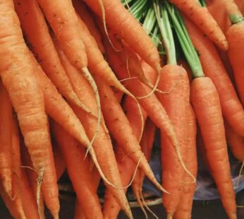 Organic Carrot (Gajar) 95/kg