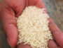 White kala Namak Rice (1Kg)