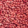 Peanuts