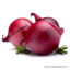 Onion
