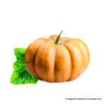 Pumpkin