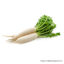 Radish