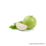 Guava