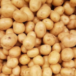 Potato