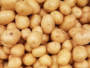 Potato (UK)