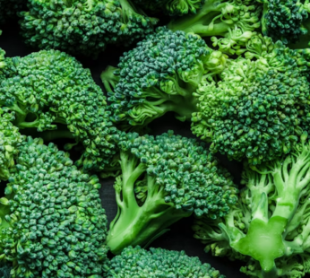 Broccoli