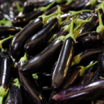 chu chu brinjal