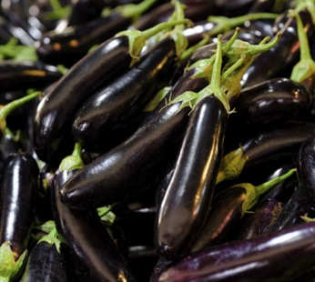Chu-Chu Brinjal