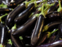 Chu-Chu Brinjal