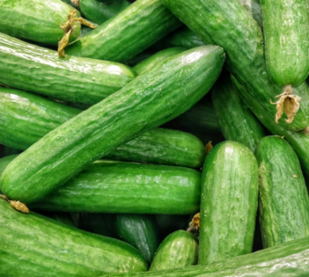 English Cucumber