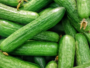 English Cucumber