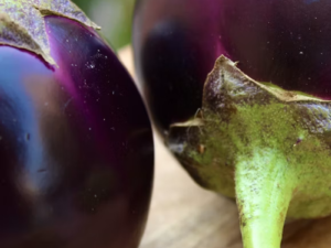 Gol Brinjal