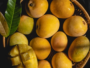 Mango (Alphonso)