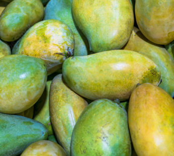Mango (Kesar)