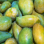mango kesar
