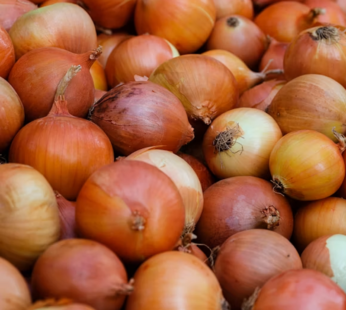 Onion (UK)
