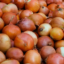 onion