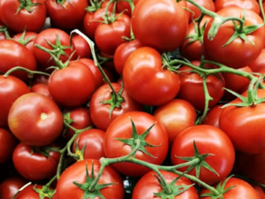 Tomato (hybrid) (1kg)