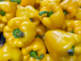 Capsicum (yellow)