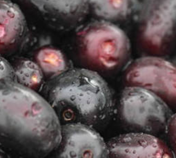 Jamun 400G/Box