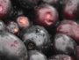 Jamun 400G/Box