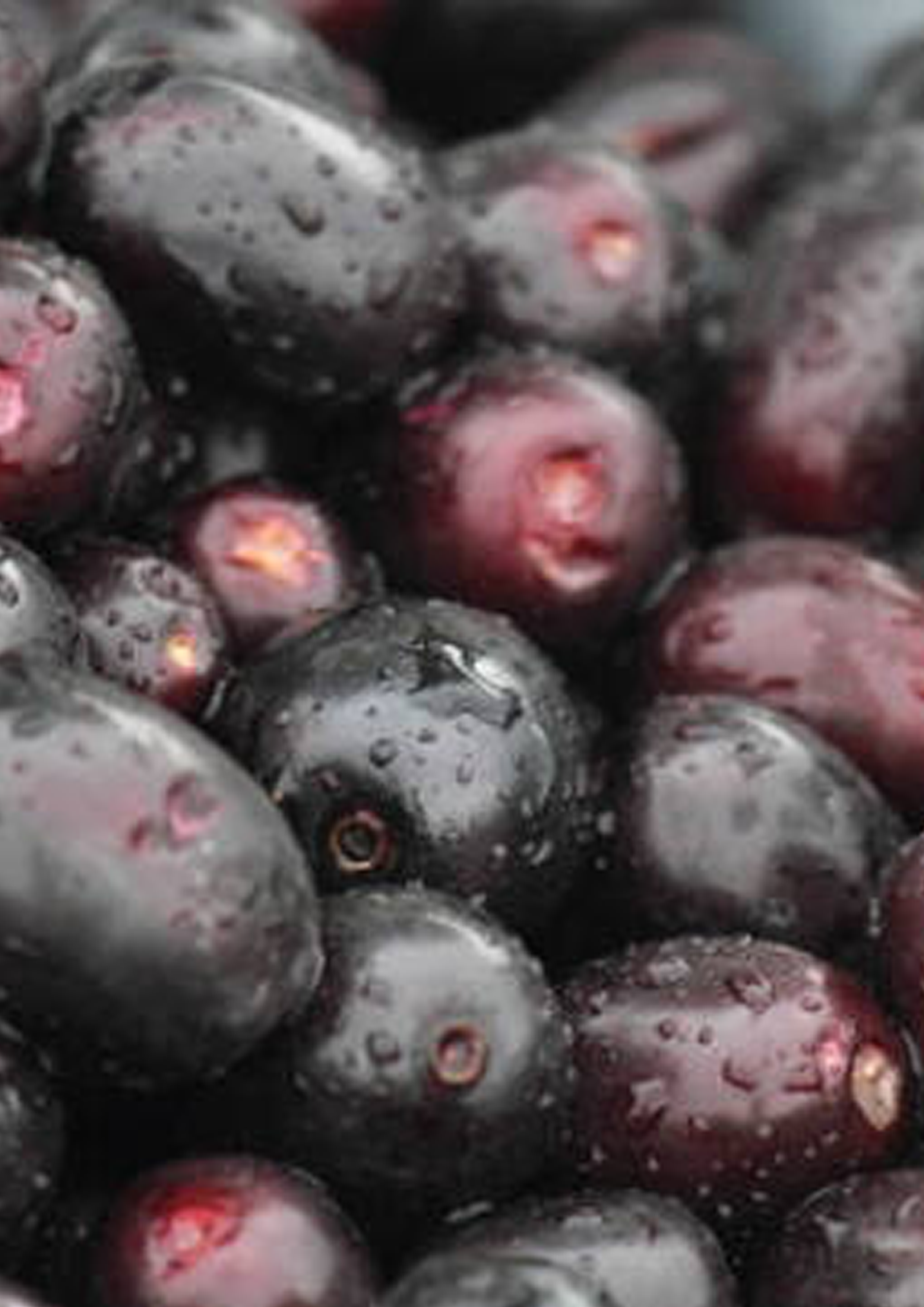 Jamun 400G/Box