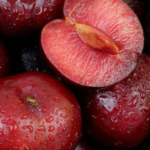 Plum 4
