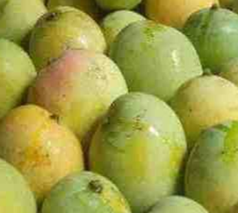 Mango (Malda 1kg)