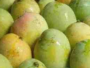Mango (Malda 1kg)
